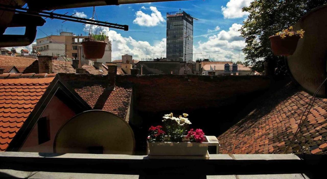 Veronika Group Radiceva Zagreb Luaran gambar